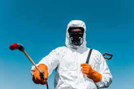 Best Ant Control  in Medical Lake, WA